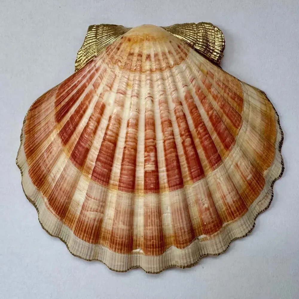Urban Outfitters handmade seashell